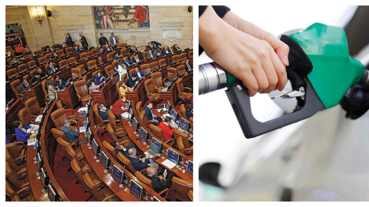 Algunos parlamentarios habían presentado una proposición para quitar ese punto del proyecto.