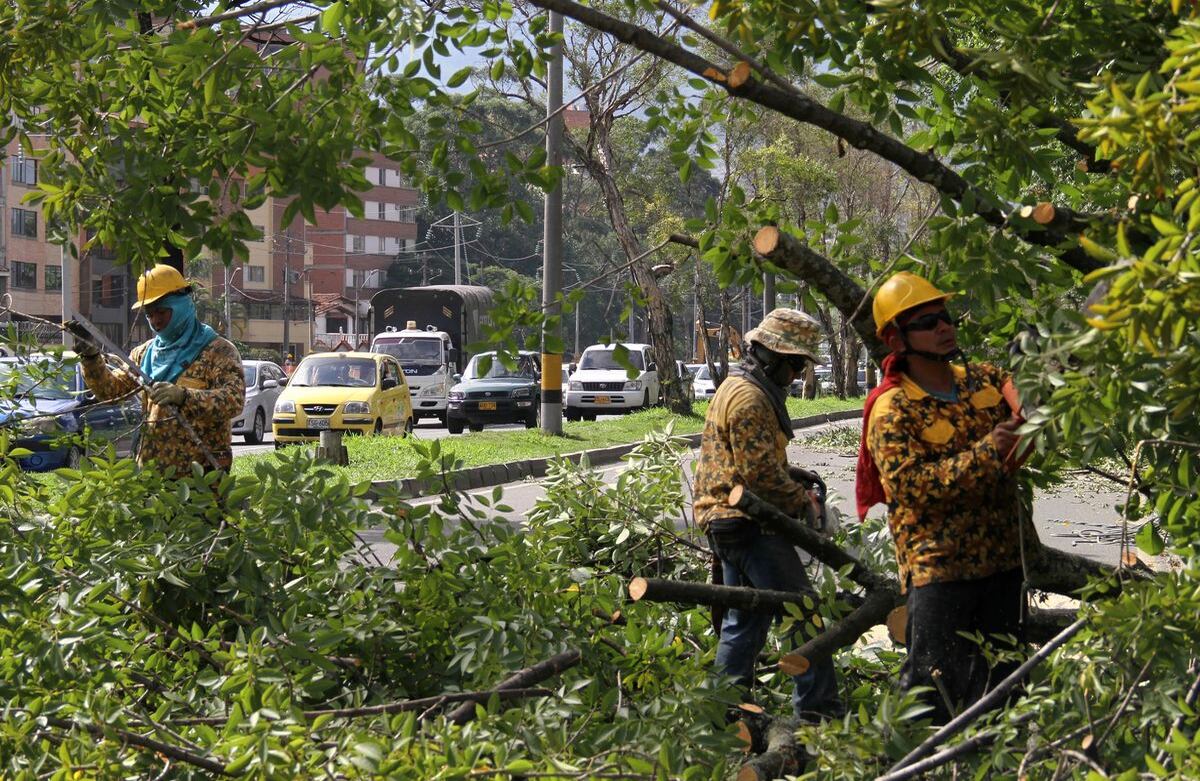 Foto: Pablo Andrés Monsalve Mesa.
