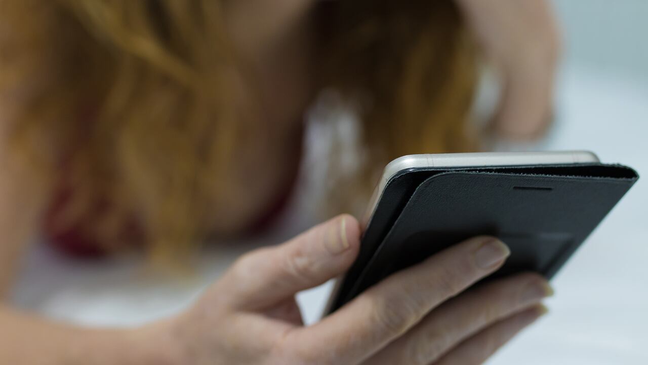 Imagen de referencia.