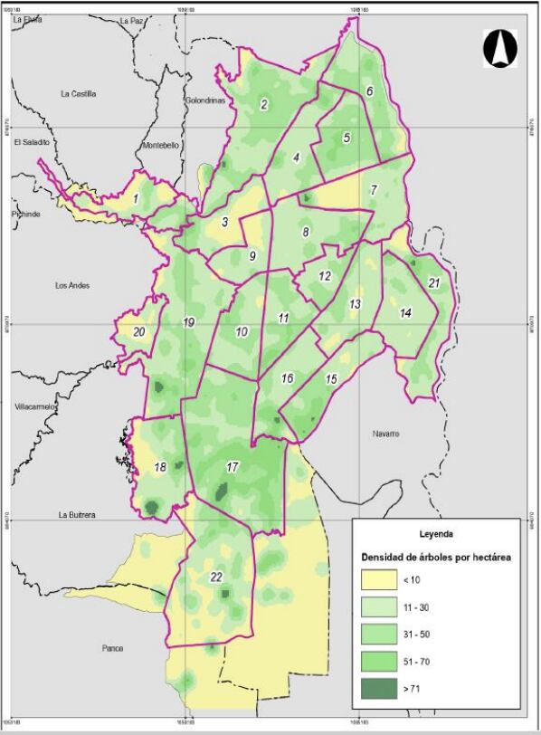 Las zonas amarillas son las que tienen menos árboles por hectárea (menos de 10), mientras que en verde oscuro están los sectores con mayor cantidad (más de 71).
