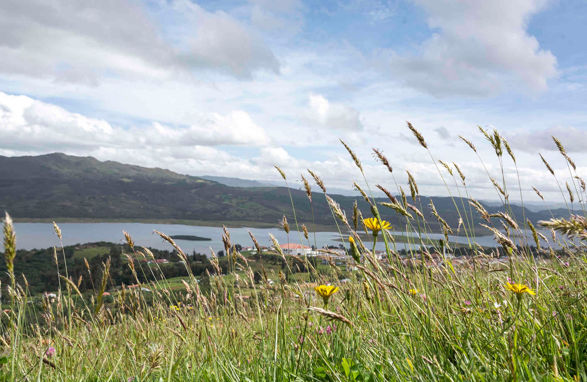 Foto: Gabriel González / Semana