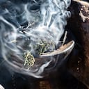 El ritual de ruda mitiga todas las malas energía que pueden estar en un hogar.