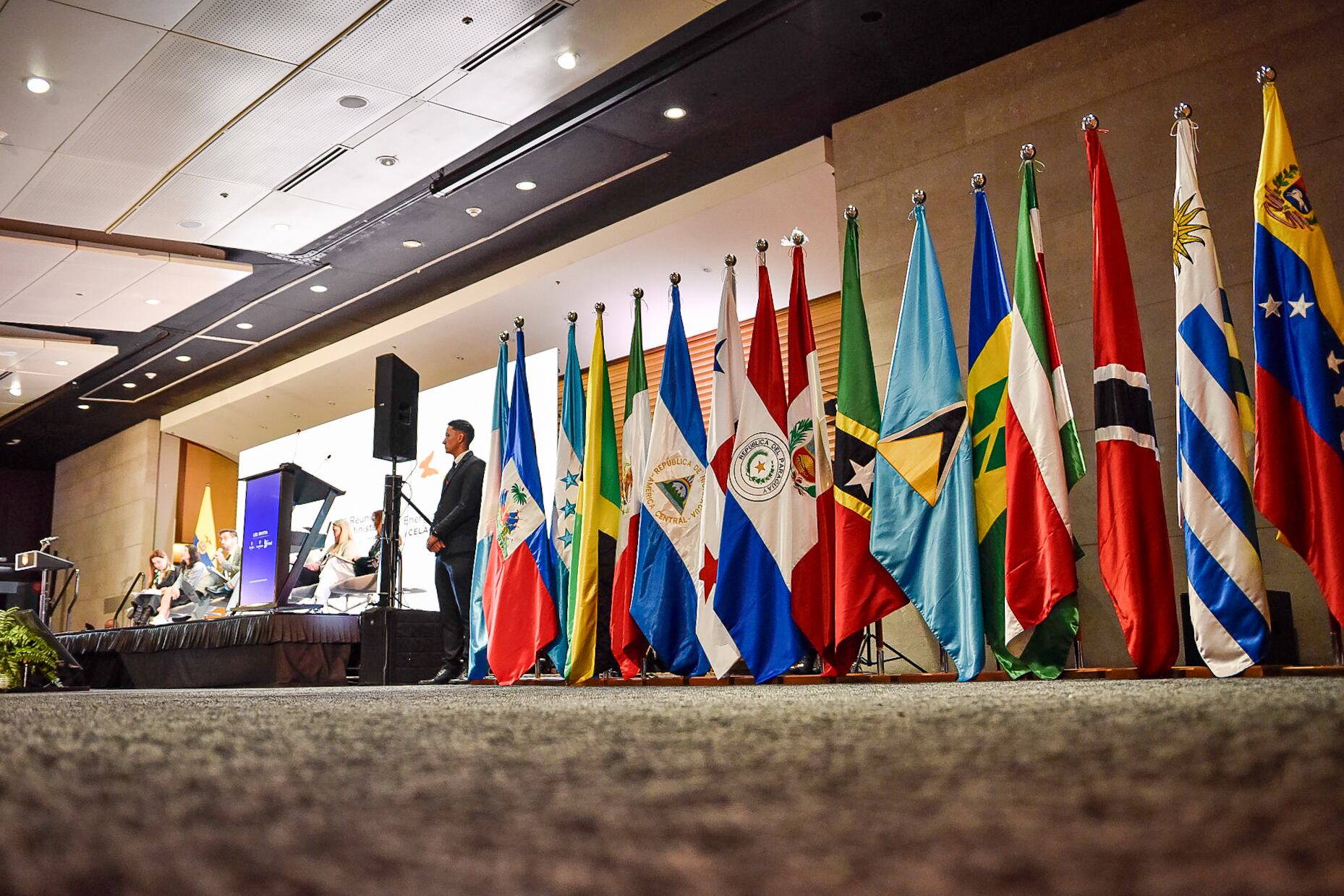 En las instalaciones de la Cámara de Comercio se llevo a cabo la VII Reunión Ministerial de Energía en el marco de la CELAC, un espacio en el que se desarrollaron paneles sobre energías renovables y eficiencia energética, contó  con la participación de ministros y delegaciones de distintos países.