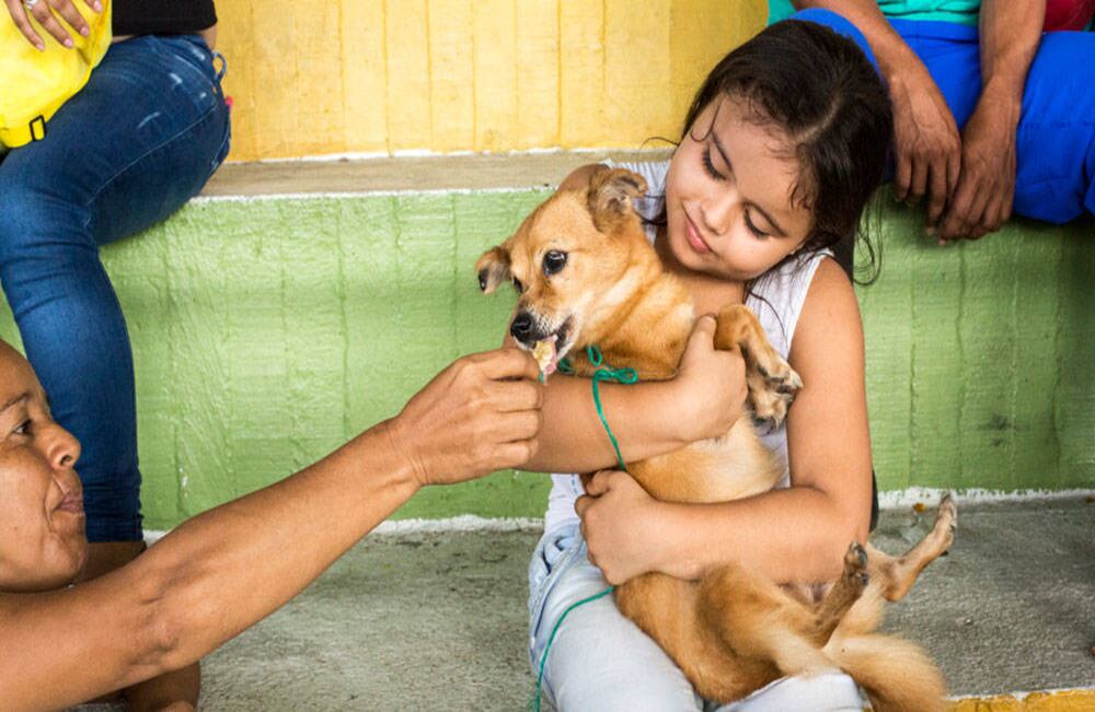 Foto: David Estrada Larrañeta