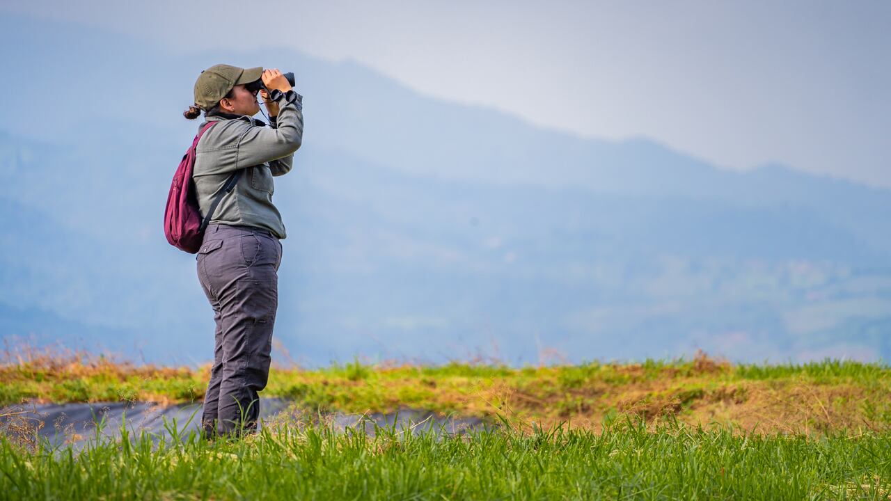 Este 10 de mayo se celebra el Global Big Day, que convoca a los amantes de las aves para observar la mayor cantidad de pájaros en 24 horas.