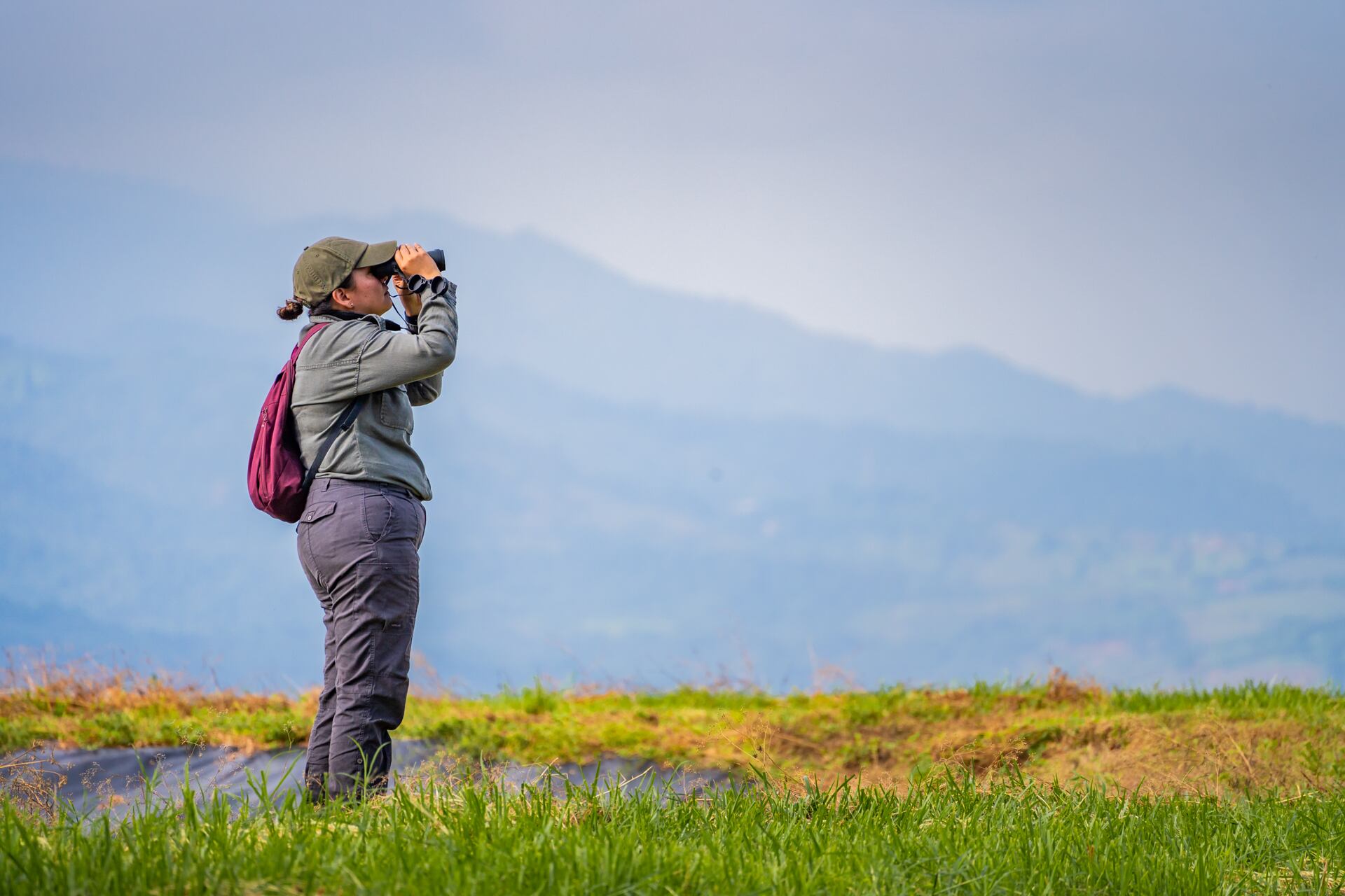 Este 10 de mayo se celebra el Global Big Day, que convoca a los amantes de las aves para observar la mayor cantidad de pájaros en 24 horas.