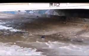 Caída de joven en Chile