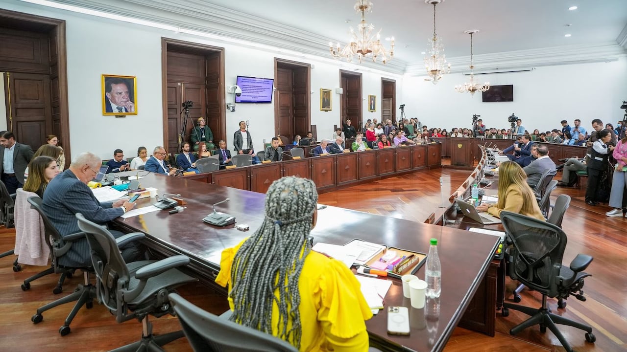 “En ningún momento el Gobierno nacional está incumpliendo alguna norma. Hemos observado de manera estricta la normatividad vigente y, por esa razón, el cargo de rector de la Universidad Nacional se encuentra vacante”, indicó la ministra.