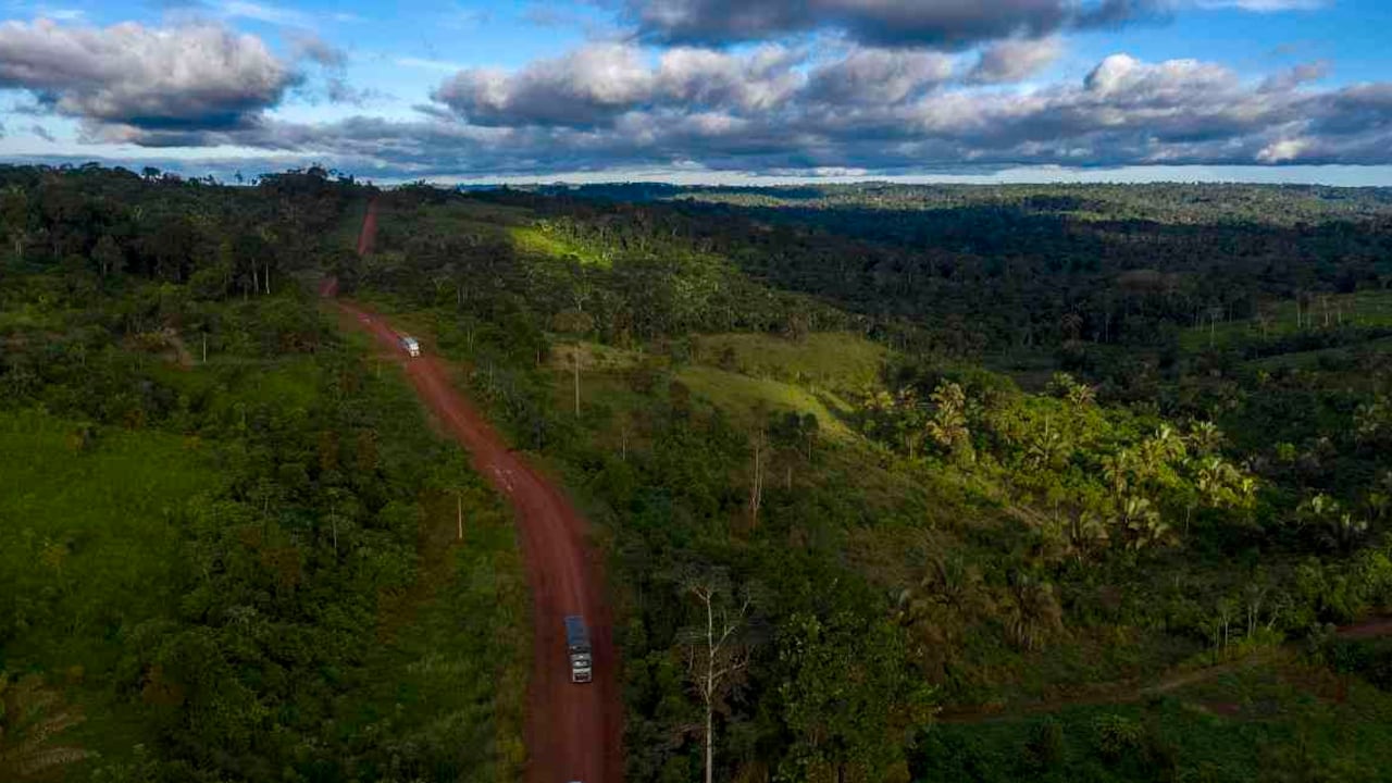 La apertura de carreteras es constante en la Amazonia brasileña. Foto: AFP