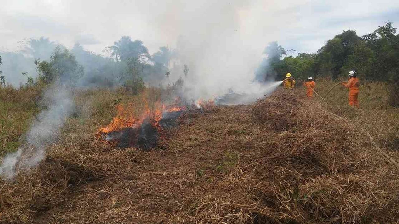 El incendio en La Primavera inició el 23 de marzo. Foto: Bomberos de La Primavera