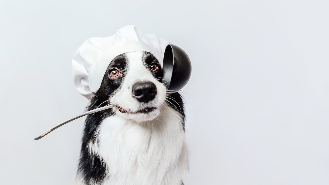 ¿Acaso habrá una mejor compañía que ‘una salida a comer’ con tu mejor amigo
perruno?