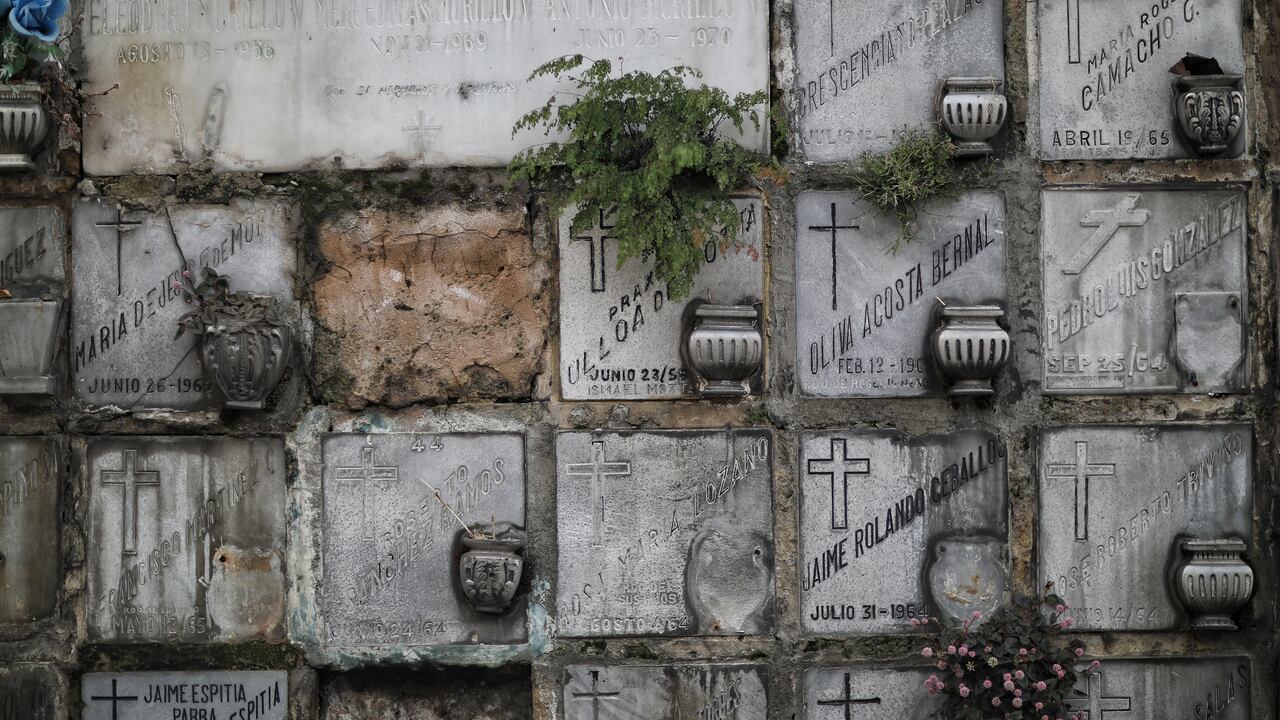 Eder Paradas
Cementerio Central