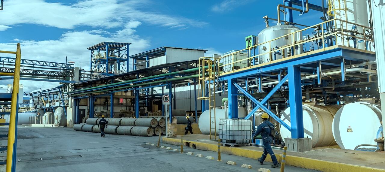 Refinería Brinsa. La compañía proyecta, una profesionalización de las áreas con la creación de nuevos empleos, contribuyendo al desarrollo local.