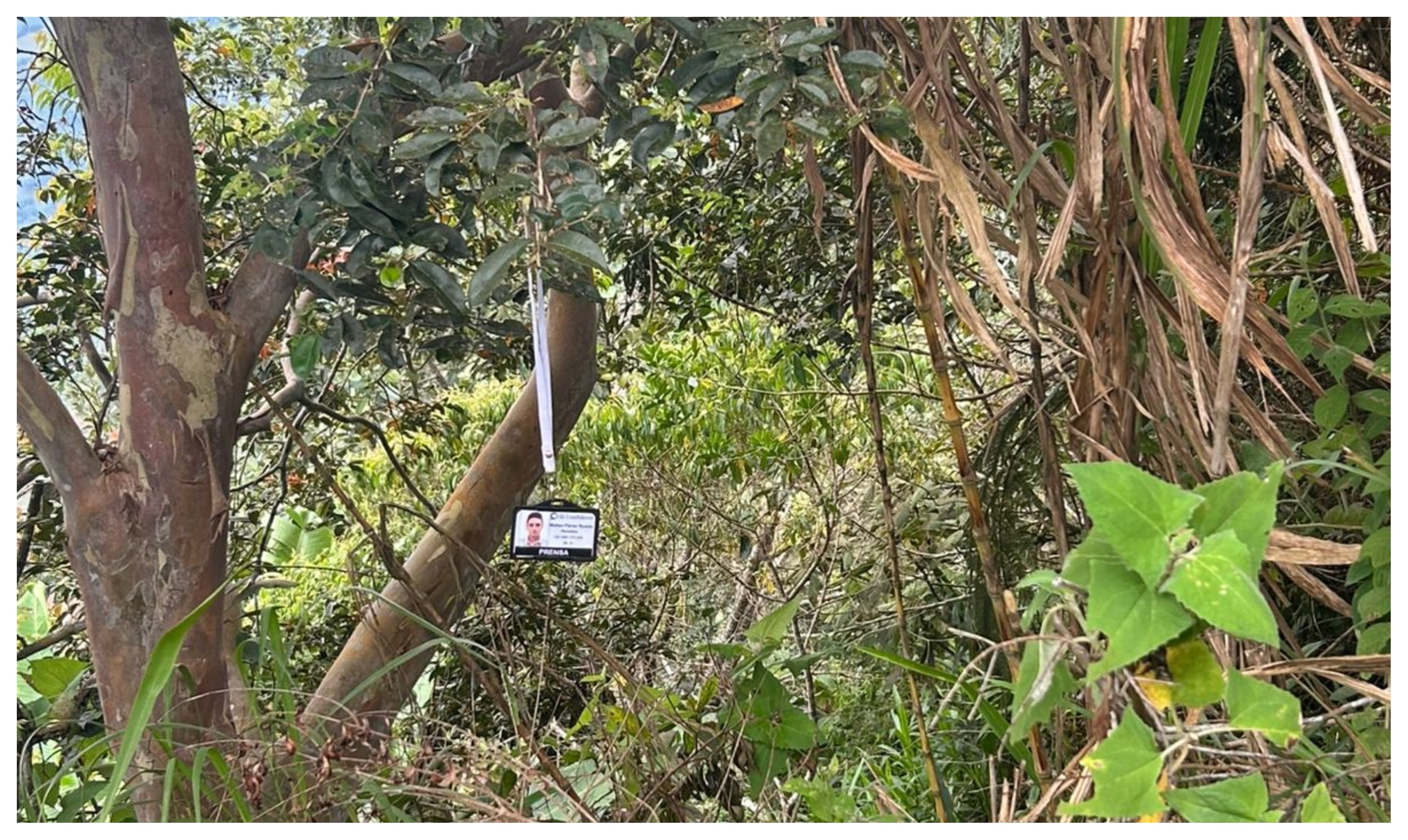 Carné de Mateo Pérez Rueda fue hallado colgado de la rama de un árbol en zona boscoza de Briceño, Antioquia.