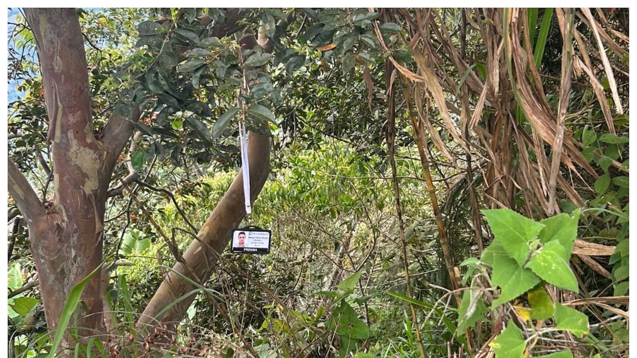 Carné de Mateo Pérez Rueda fue hallado colgado de la rama de un árbol en zona boscoza de Briceño, Antioquia.