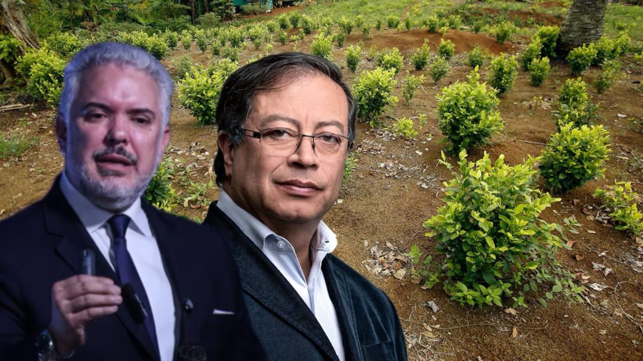 Iván Duque le respondió a Gustavo Petro por los cultivos de coca.