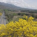 Se construyen 76 kilómetros de doble calzada entre Neiva y Aipe, en el Huila, y entre Saldaña y El Espinal, en el Tolima.