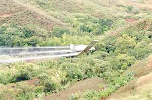 Aspersión con glifosato en sembradíos de coca en Colombia