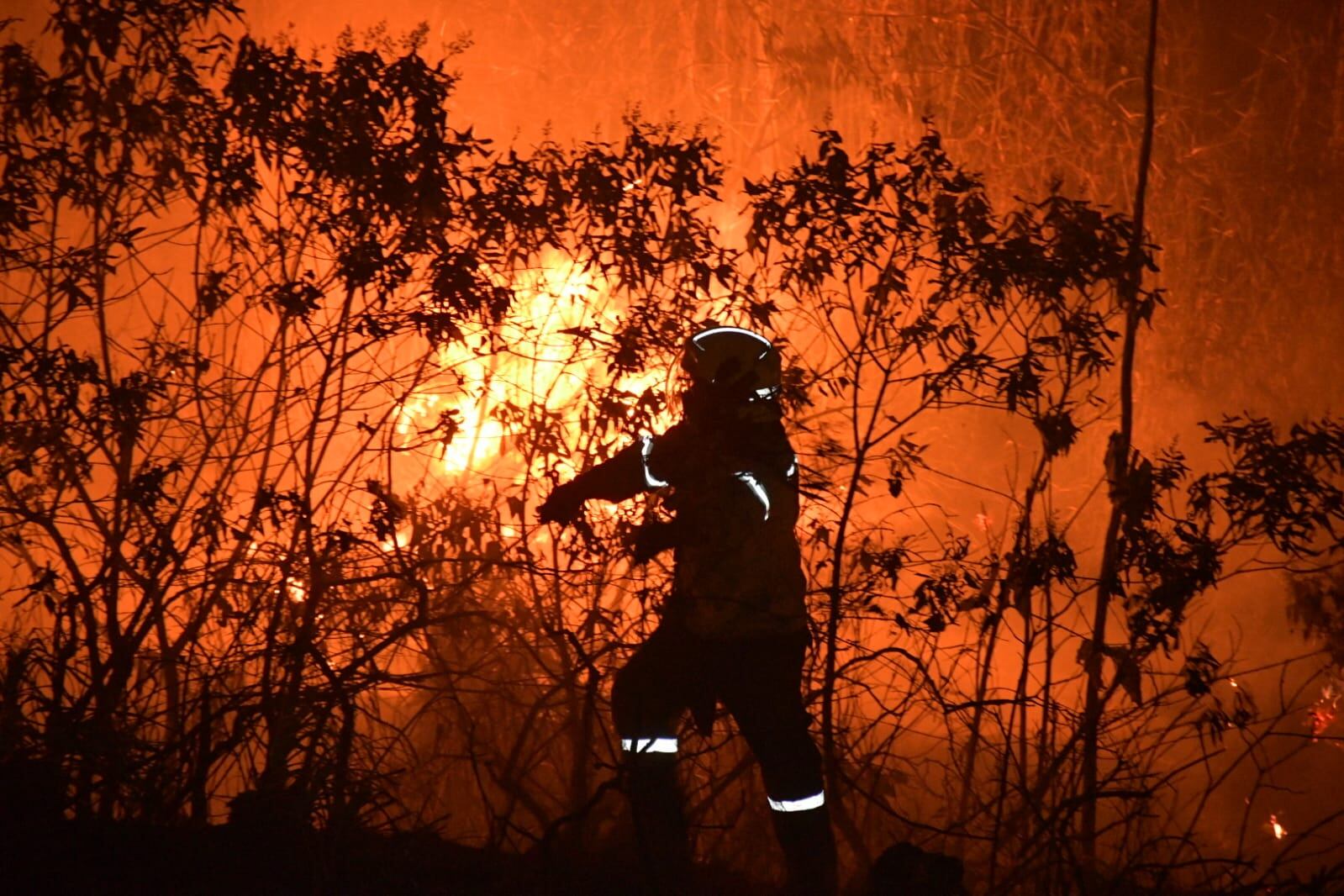 El Fenómeno de El Niño aumenta el riesgo de que ocurran incendios forestales de grandes proporciones. Municipios como Jamundí y Guacarí no cuentan con brigada forestal.