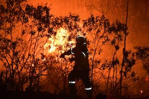El Fenómeno de El Niño aumenta el riesgo de que ocurran incendios forestales de grandes proporciones. Municipios como Jamundí y Guacarí no cuentan con brigada forestal.