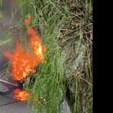 Los ladrones a los que les quemaron la moto fueron capturados por la Policía.