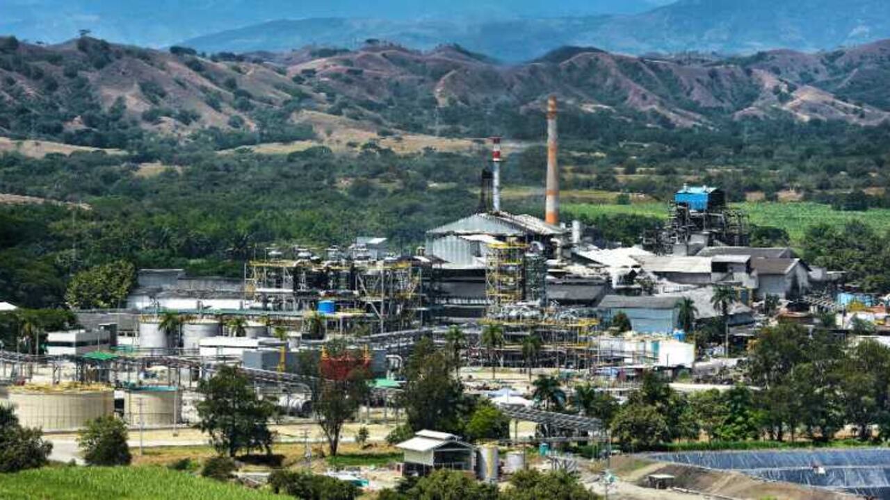 Con aproximadamente el 22,7% de participación en la producción nacional de azúcar y más de $737.000 millones en ingresos durante 2014, la productora azucarera se convierte en la más grande del país.