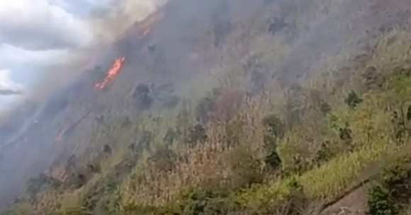 Incendios forestales, al ataque