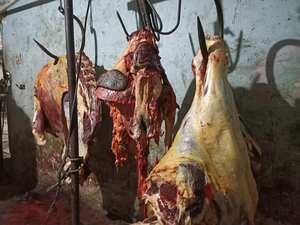 Operativos en Ciudad Bolívar establecieron que la carne incautada estaba en pésimas condiciones de salubridad y pudo ocasionar afectaciones a la salud.