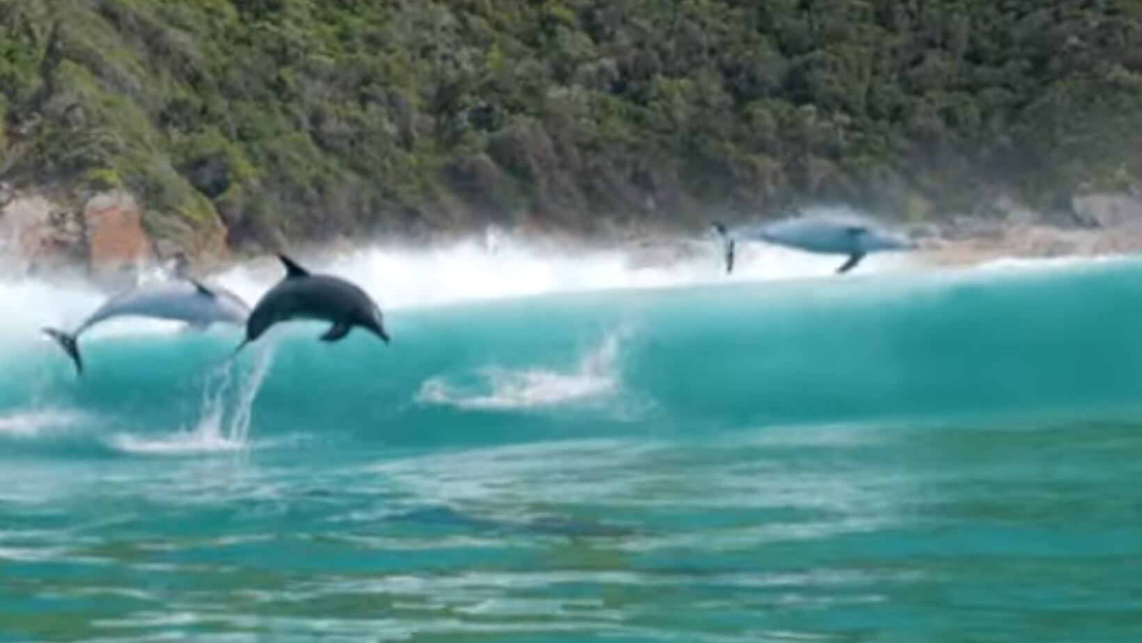 Sudáfrica – Plettenberg Bay.  Uno de los lugares para nadar con delfines degún la IA