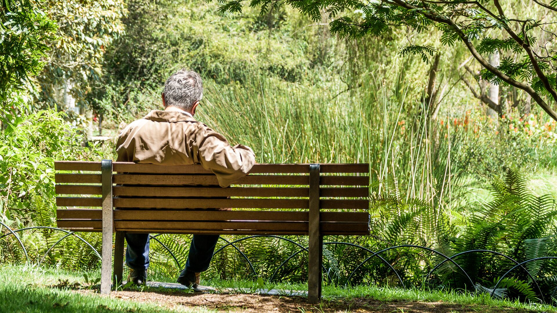 Estas son las barreras que impiden un diagnóstico temprano de enfermedades mentales en adultos mayores