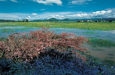 Lourdes Grobet (México) http://fotomuseo.org/fotografica_2013 