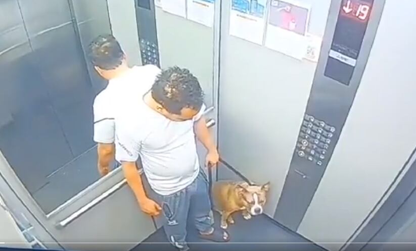 Maltrato animal en Itagüí, Antioquia.