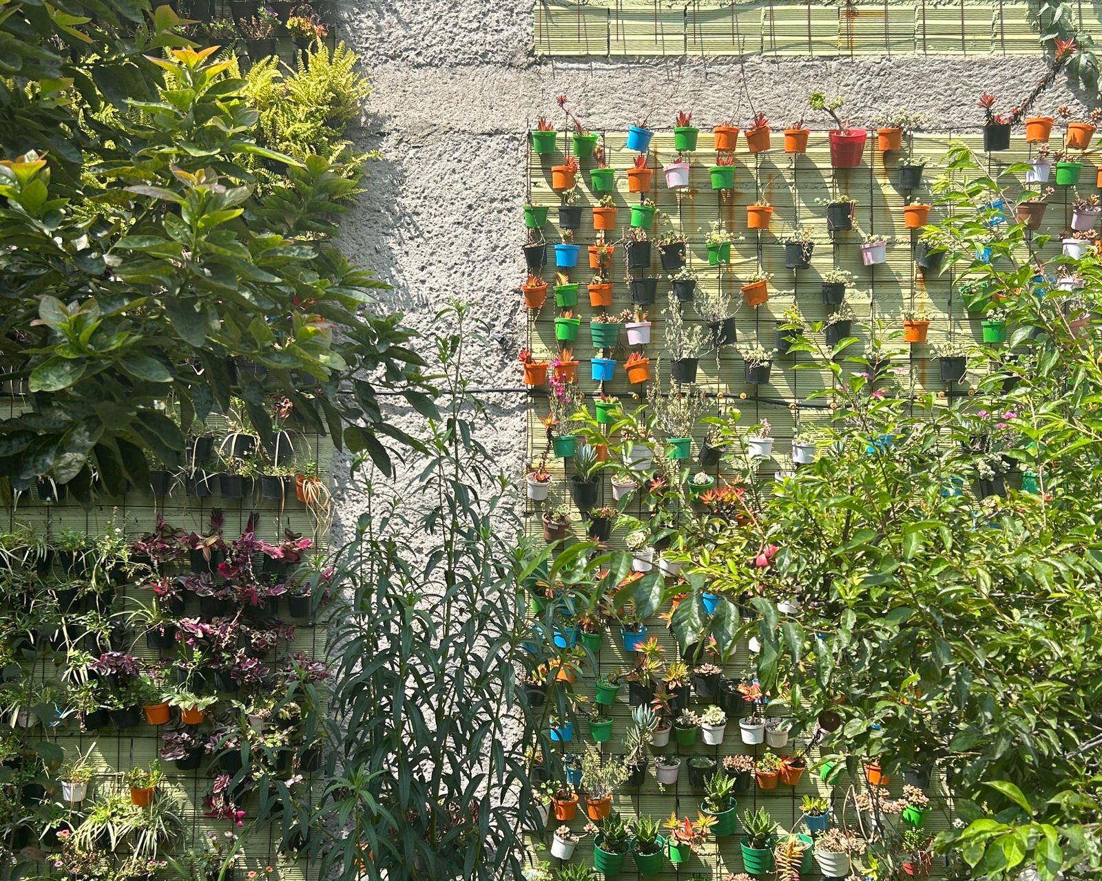 El Jardín Botánico Real de Colombia tiene una colección de miles de especies de flora.