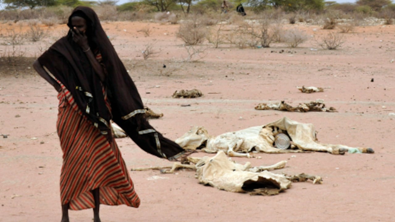 Las políticas dirigidas a impulsar la productividad agrícola y la disponibilidad alimentaria eran cruciales en reducir el hambre incluso donde la pobreza estaba extendida.