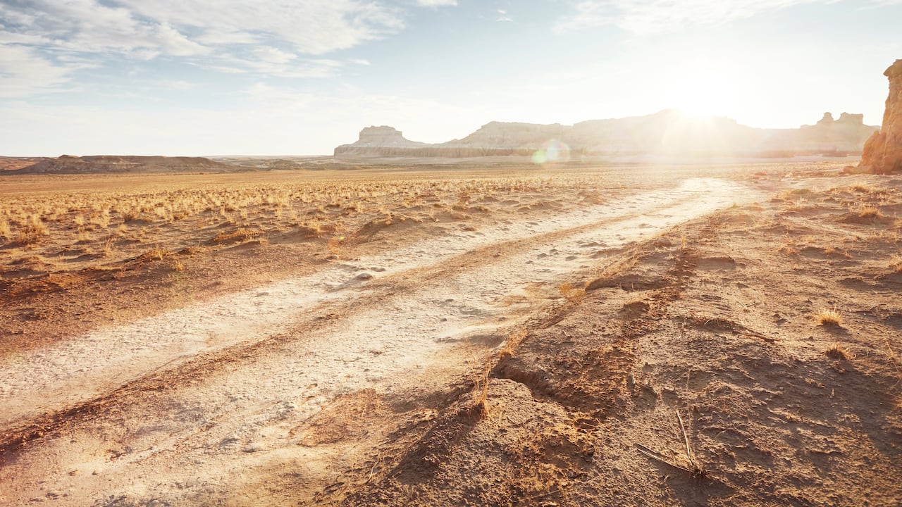 Imagen de referencia