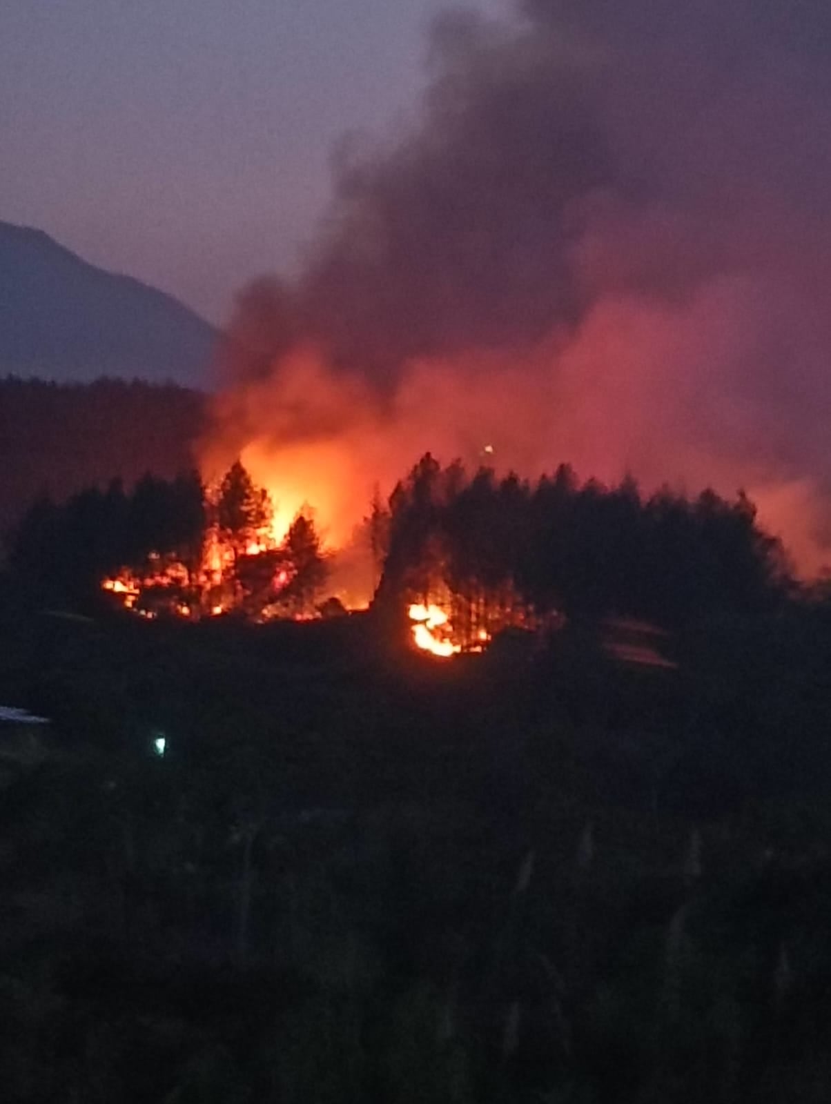 En el sector de la Hacienda Japio se presenta un incendio forestal de grandes proporciones, emergencia que también es atendida por los bomberos de Santander de Quilichao, Cauca.