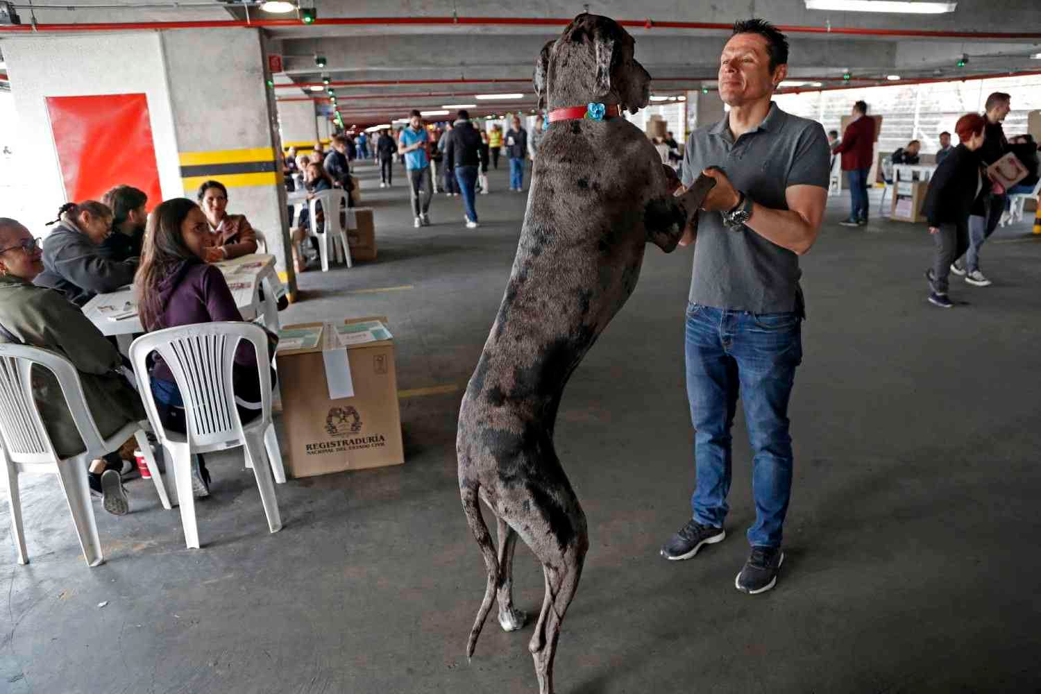 La jornada electoral estuvo acompañada de tiernas imágenes de votantes que asistieron a las urnas acompañados de sus mascotas. Los perros fueron protagonistas de estas elecciones en donde Colombia eligió a sus gobiernos locales y departamentales. Foto: León Darío Peláez