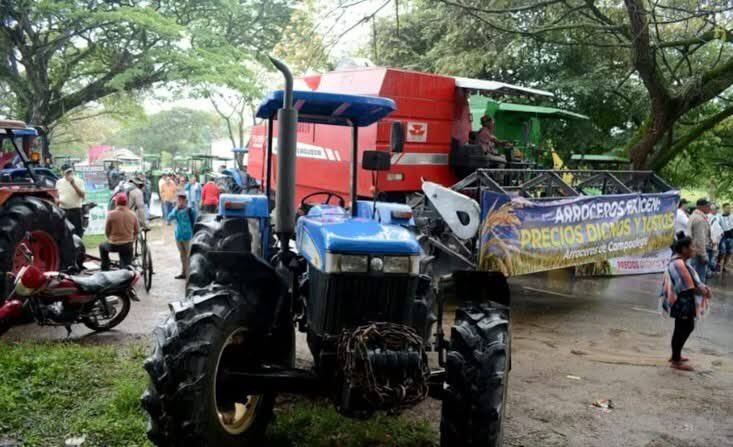 Gobierno destina $10.000 millones para el sector arrocero en medio de negociaciones para levantar el paro