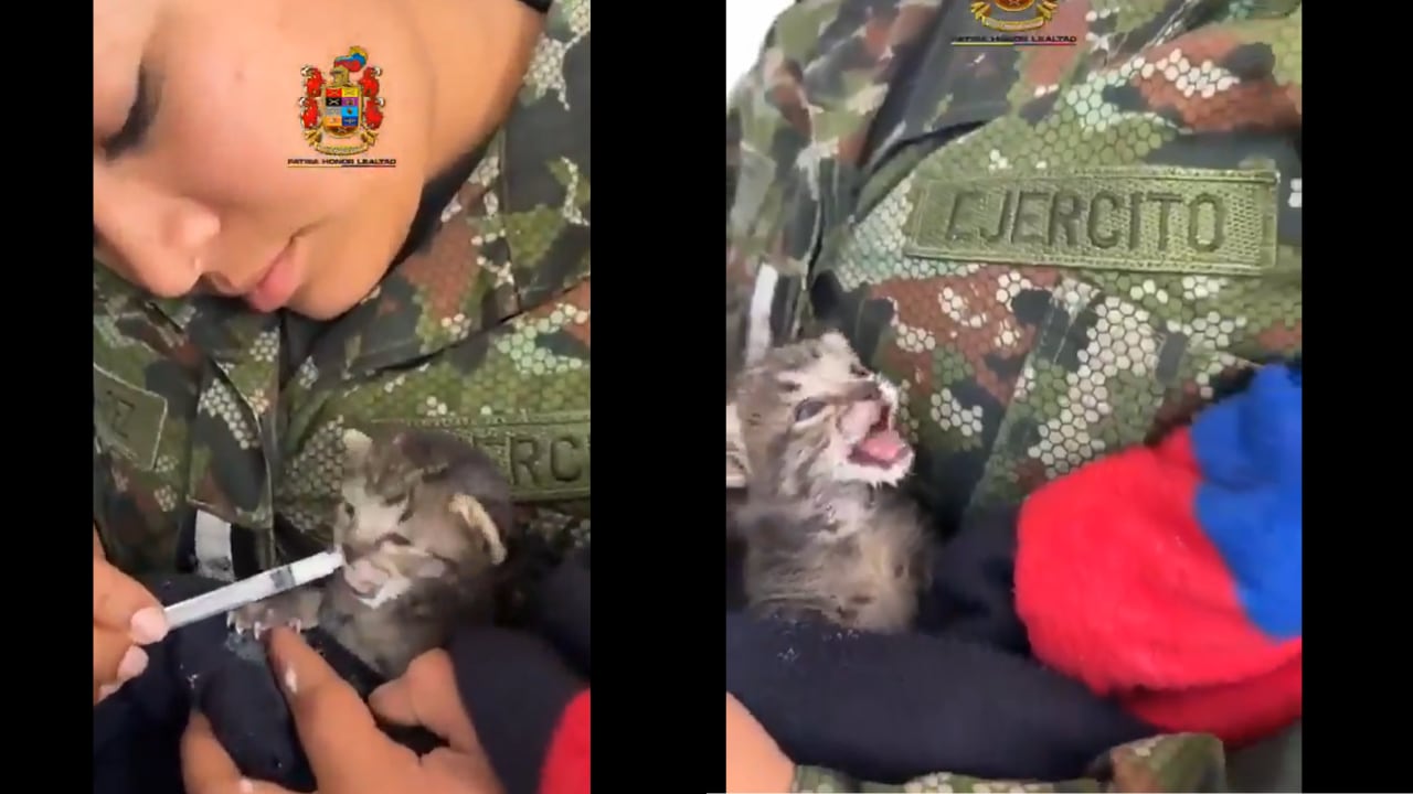 Un acto de humanidad fue suficiente para generar una ola de comentarios emotivos.