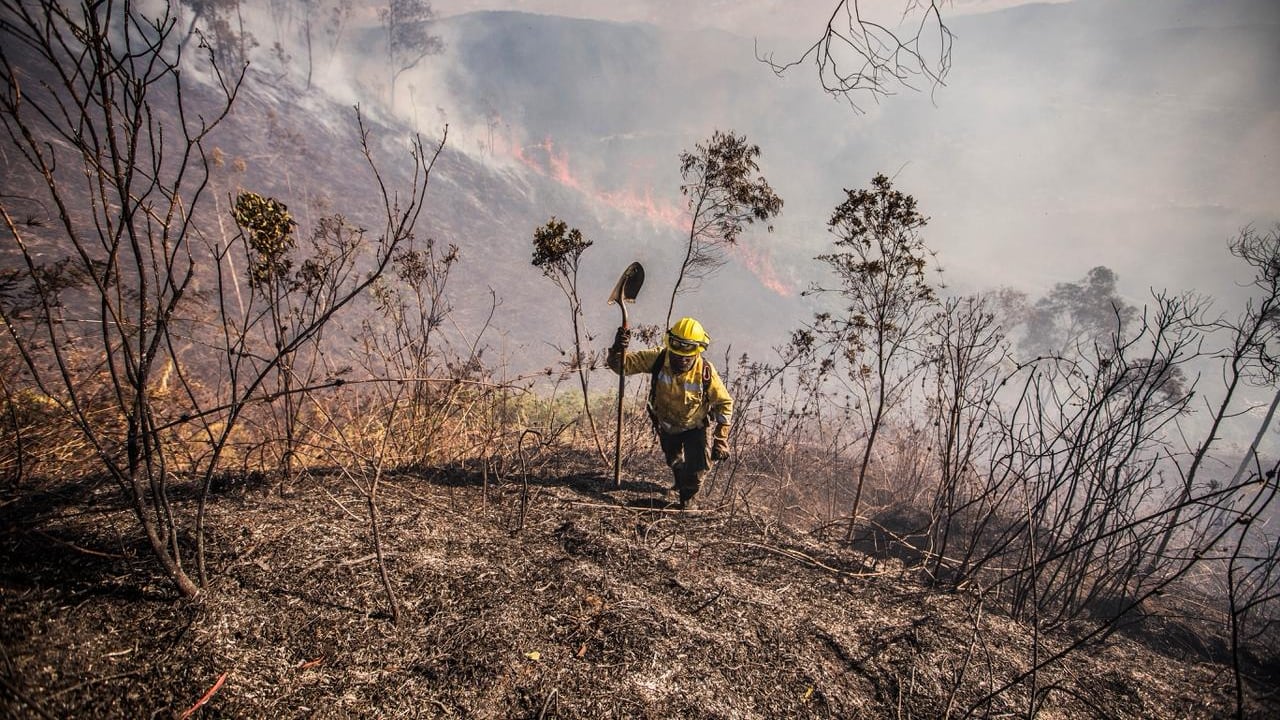 La Alcaldía de Medellín trabajará para evitar los incendios forestales en la 'Capital de la Montaña'.