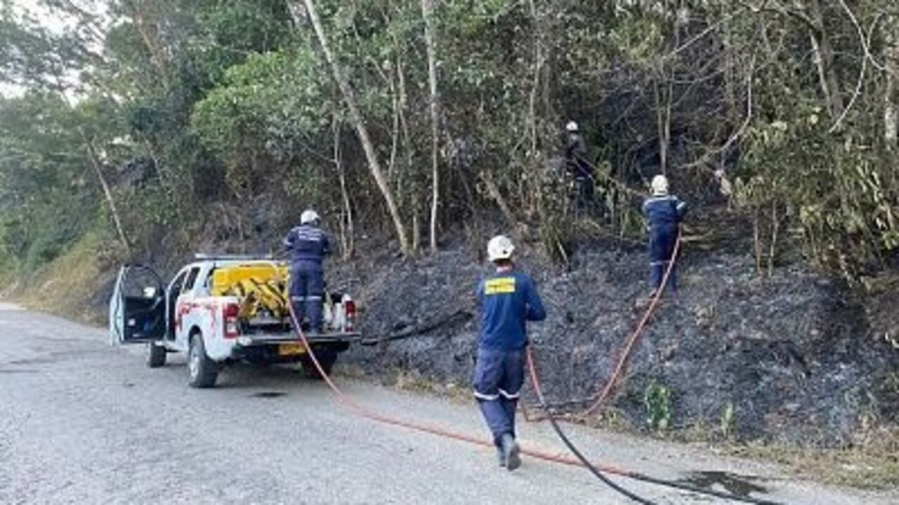 Las alertas fueron generadas por el Ideam después de adelantar revisiones satelitales