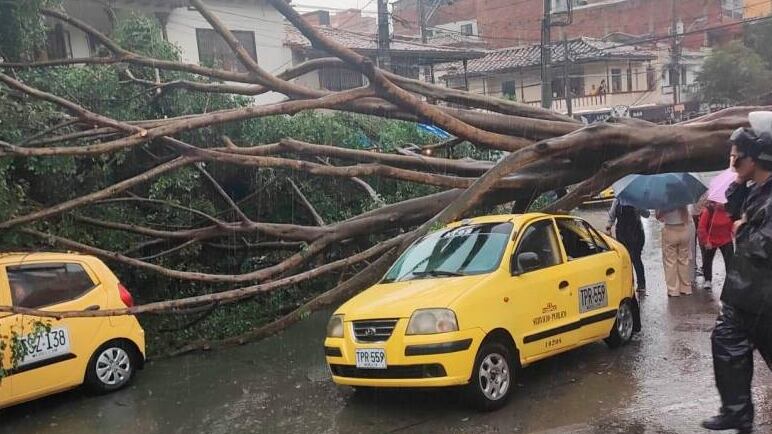 Tremendo aguacero dejó inundaciones, árboles caídos y hasta granizada en Medellín.