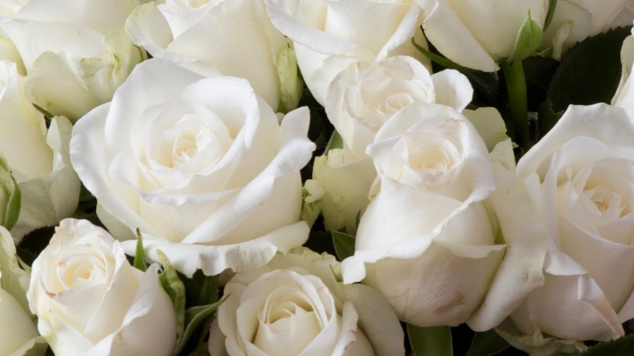 Se pueden modificar las tonalidades de las rosas de acuerdo al gusto personal