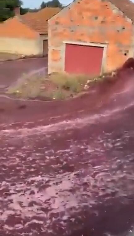 Río de vino Portugal. Foto: Captura de pantalla Youtube @sentinelasentinelamundial.