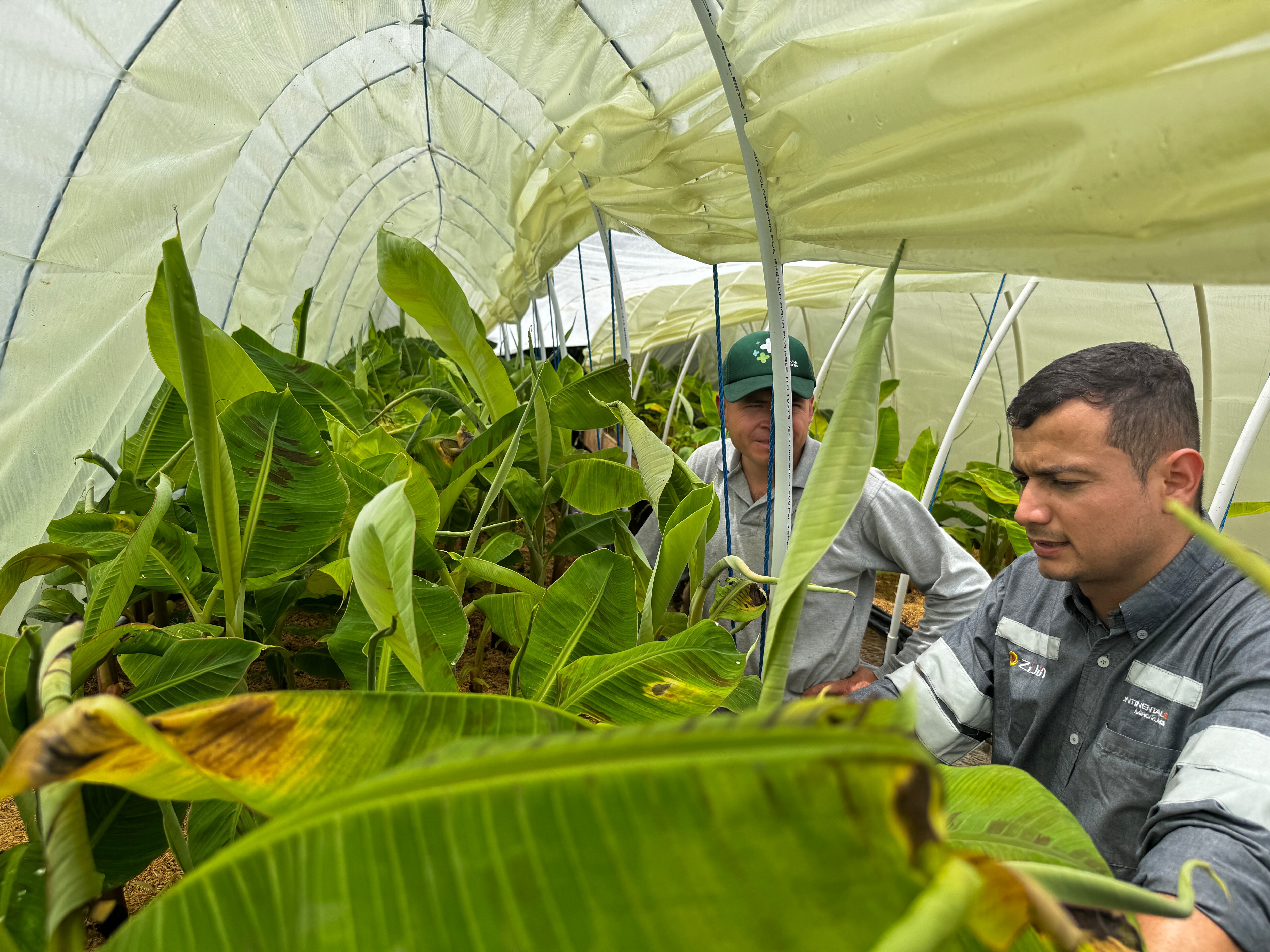 La dimensión ambiental constituye otro de los pilares del modelo de operación.