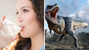 Científicos analizan si el agua que consumimos proviene de los dinosaurios.