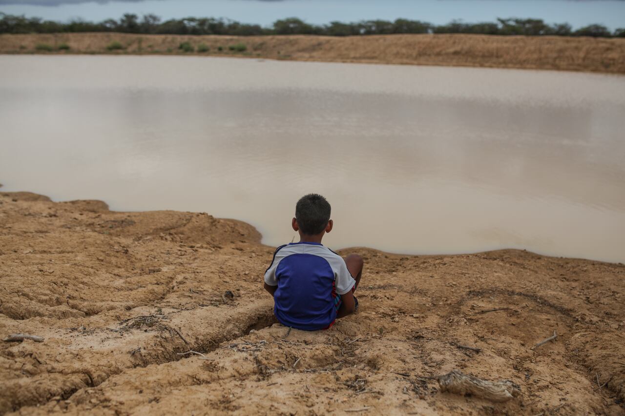 ‘La vida es sagrada’ es uno de los siete principios que rigen a los wayúu. Para ellos, la vida está integrada por la de los humanos, los animales y también por los elementos que la cultura occidental considera inanimados, como los ríos, los arroyos, las montañas y las serranías. De ahí la importancia que tiene para ellos el cuidado de la naturaleza. Foto: Getty Images