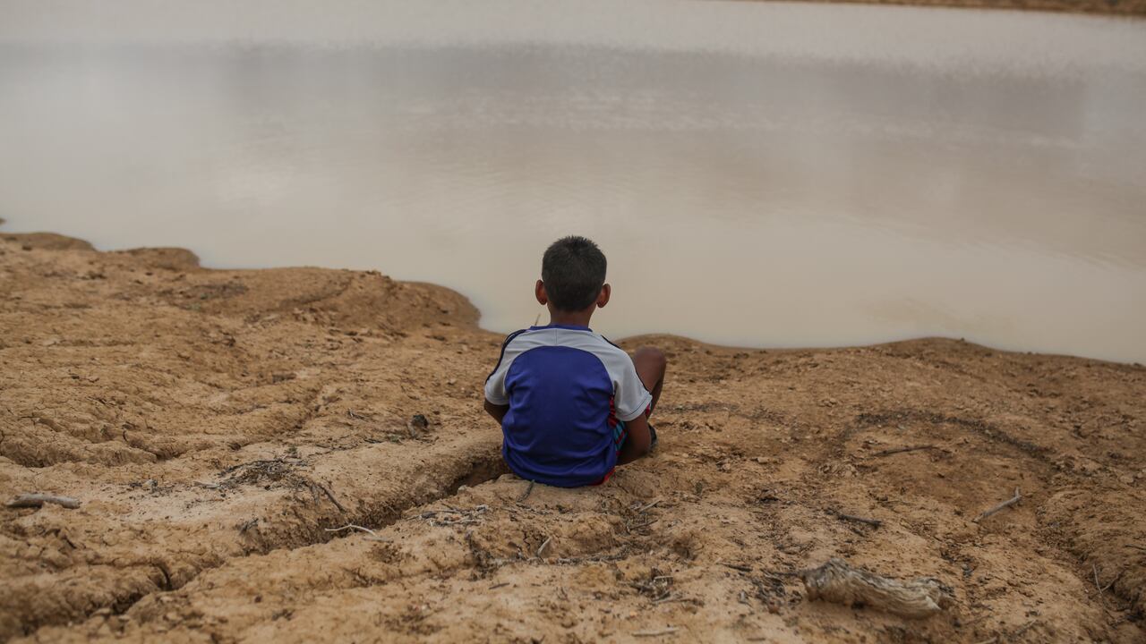‘La vida es sagrada’ es uno de los siete principios que rigen a los wayúu. Para ellos, la vida está integrada por la de los humanos, los animales y también por los elementos que la cultura occidental considera inanimados, como los ríos, los arroyos, las montañas y las serranías. De ahí la importancia que tiene para ellos el cuidado de la naturaleza. Foto: Getty Images