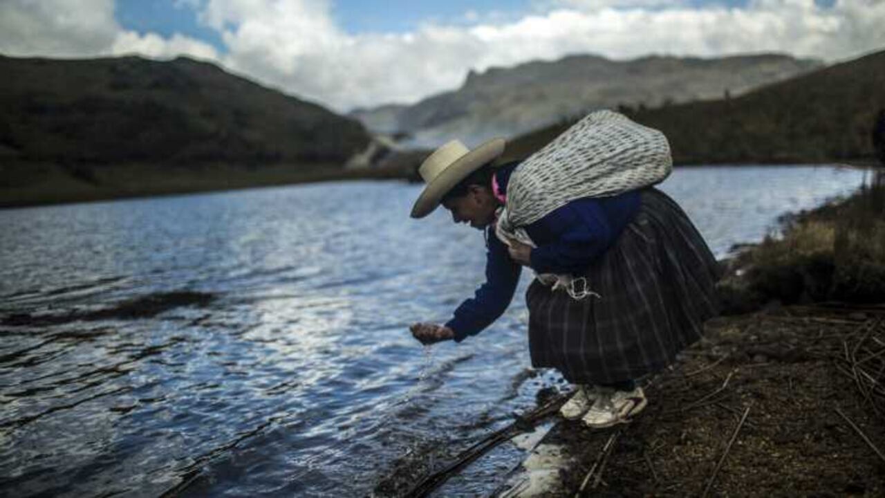 Aunque las exportaciones colombianas son mayores, Perú exporta el 79% de lo que vende Colombia con solo el 30% del área cultivable.