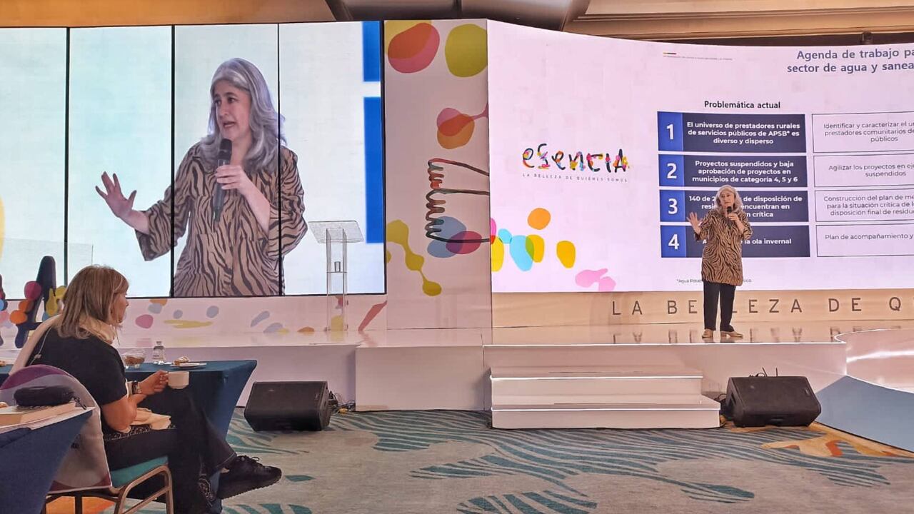 Ministra de Vivienda, Catalina Velasco.